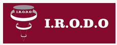 IRODO Consulting